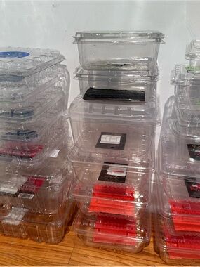 20 Pack Clear Plastic Berry Clamshell Vented Container for blueberry, Cherry ...